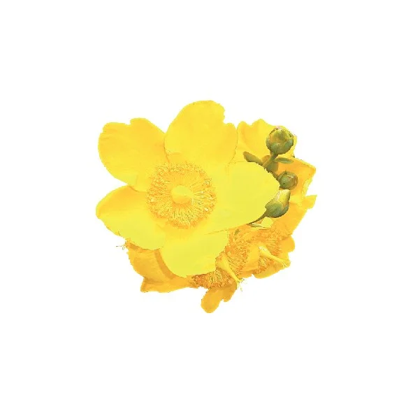 prd-img