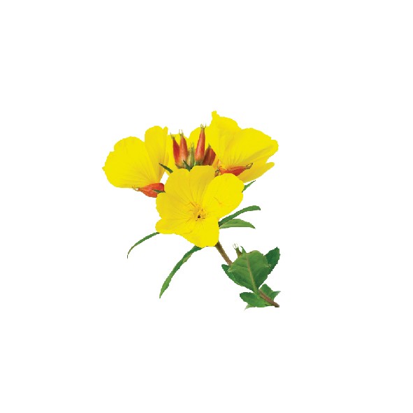prd-img