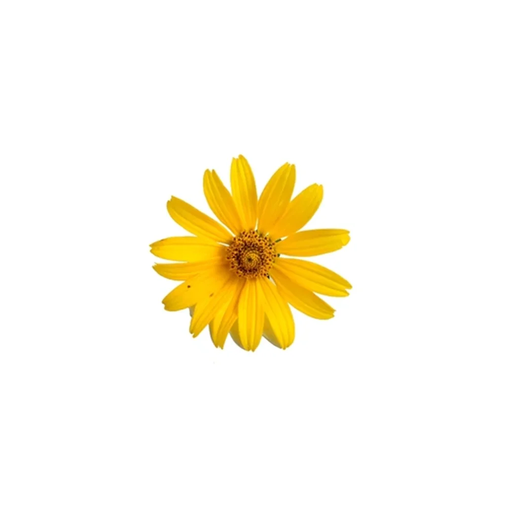 prd-img